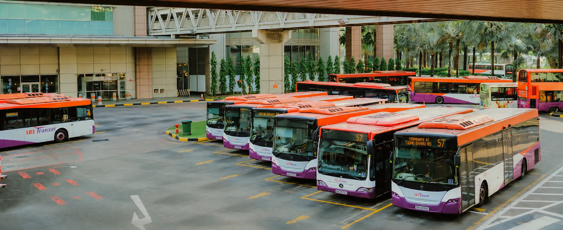 airport shuttle